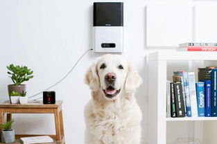 美國智能睡眠儀 科技如何重塑你的夜間生活